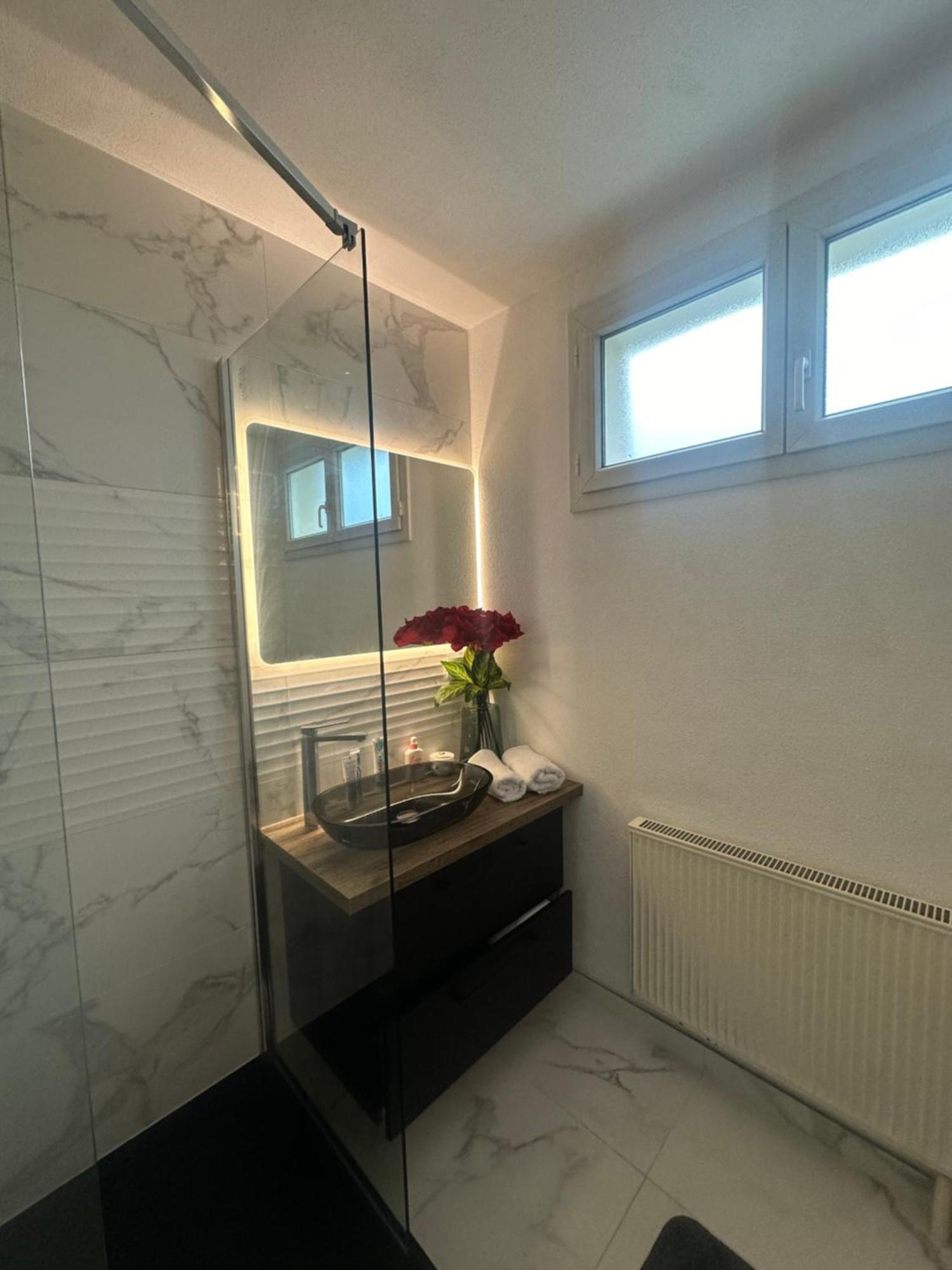Tres Beau Trois Pieces Avec Vue Degagee Straatsburg